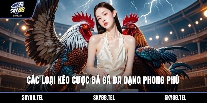 Các loại kèo cược đá gà đa dạng phong phú 