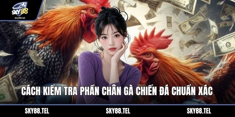 Cách kiểm tra phần chân gà chiến đá chuẩn xác 