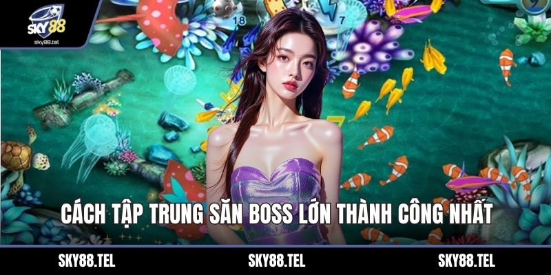Cách tập trung săn boss lớn thành công nhất