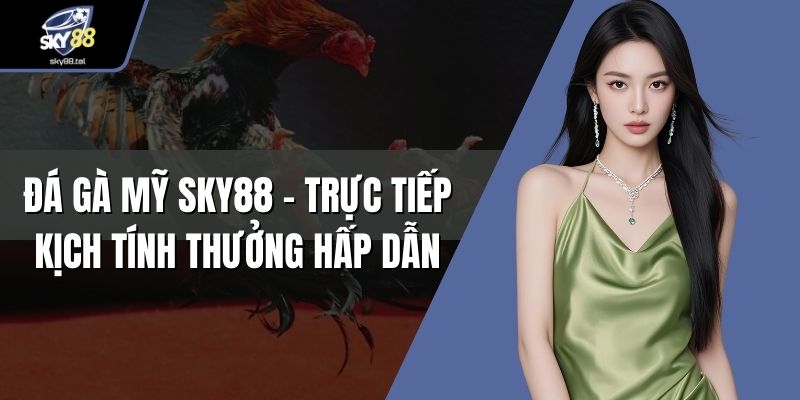 Đá gà Mỹ Sky88