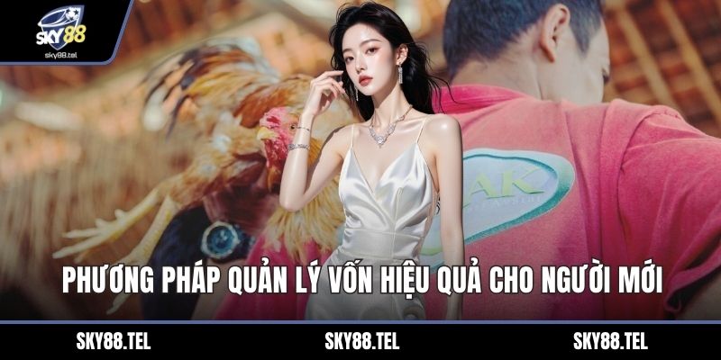 Phương pháp quản lý vốn hiệu quả cho người mới