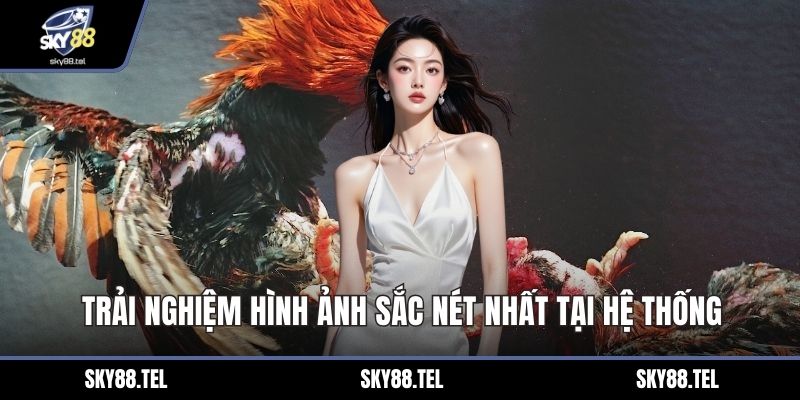 Trải nghiệm hình ảnh sắc nét nhất tại hệ thống